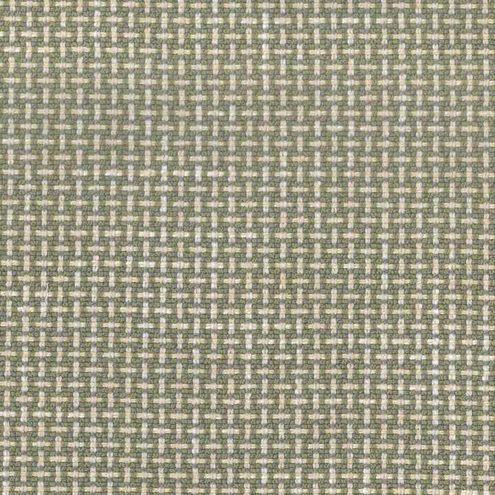 Regina Chive by Magnolia Fabric - 100% Poly China 75000 Horizontal: 0.5 and Vertical: 0.5 56" - Fabric Carolina -