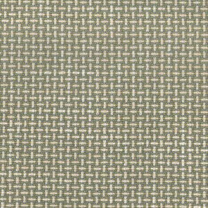 Regina Chive by Magnolia Fabric
