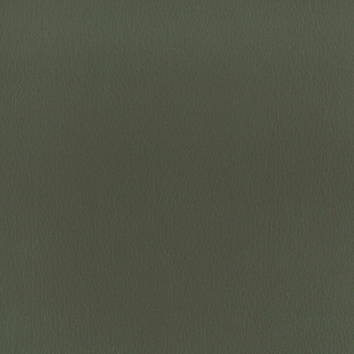 Reims 3 Shadow by Stout Fabric LEATHER LOOKS II 100%OTH 9%OTH CHINA FLAME RETARDANT-U.F.A.C. CLASS 1 FLAME RETARDANT-N.F.P.A. 260A CLASS 1 CATB 117-2013 WYZENBEEK 100 000 DOUBLE RUB WEAR TEST (HEAVY DUTY) </p><p>Repeat: 0 54 in - Fabric Carolina -