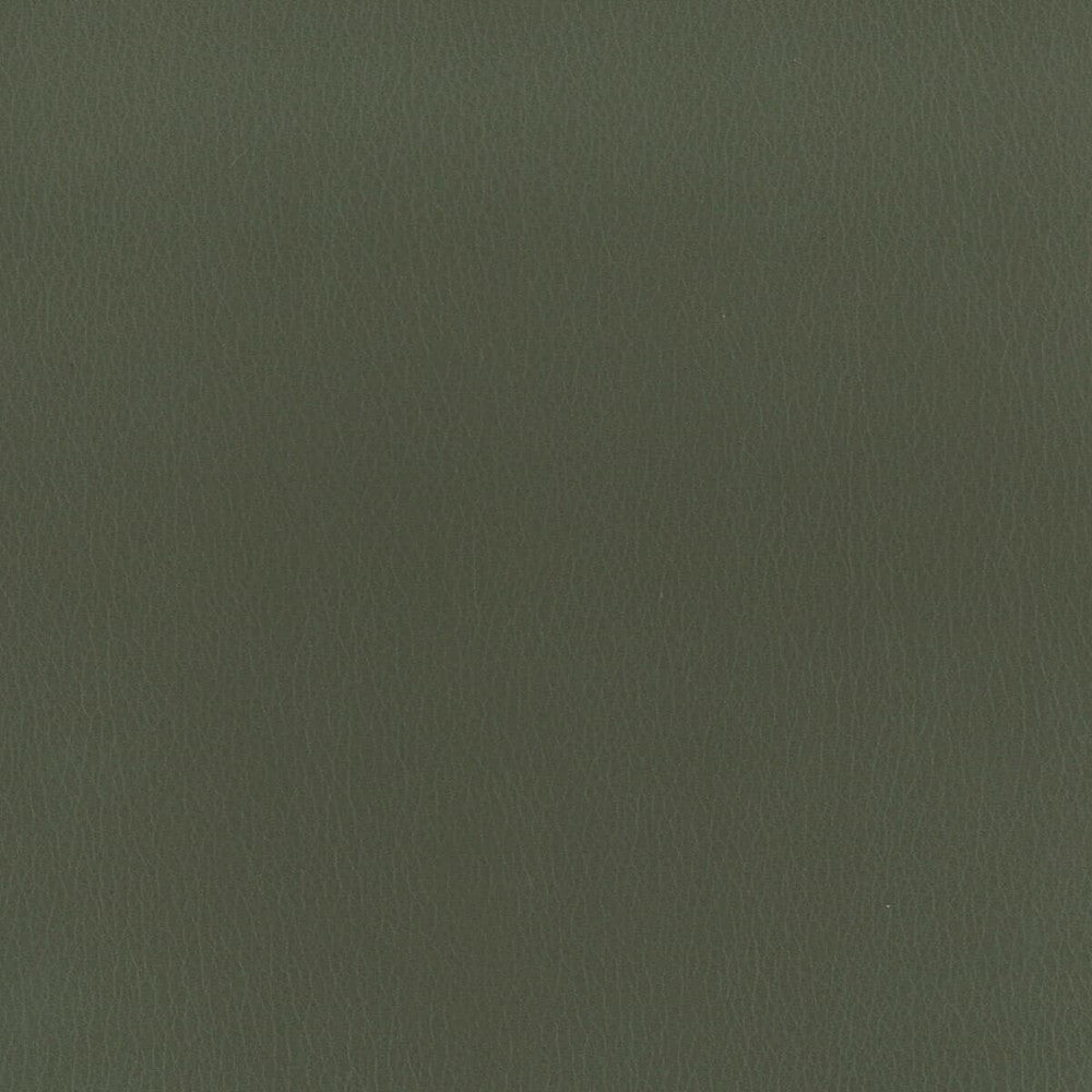 Reims 3 Shadow by Stout Fabric LEATHER LOOKS II 100%OTH 9%OTH CHINA FLAME RETARDANT-U.F.A.C. CLASS 1 FLAME RETARDANT-N.F.P.A. 260A CLASS 1 CATB 117-2013 WYZENBEEK 100 000 DOUBLE RUB WEAR TEST (HEAVY DUTY) Horizontal: 0 and Vertical: 0 54 in - Fabric Carolina -