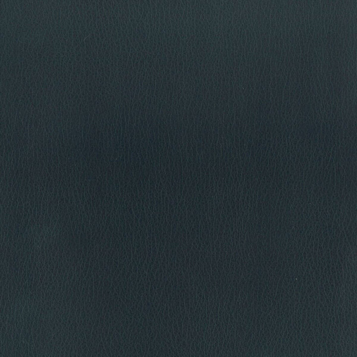 Reims 4 Indigo by Stout Fabric LEATHER LOOKS II 100%OTH 9%OTH CHINA FLAME RETARDANT-U.F.A.C. CLASS 1 FLAME RETARDANT-N.F.P.A. 260A CLASS 1 CATB 117-2013 WYZENBEEK 100 000 DOUBLE RUB WEAR TEST (HEAVY DUTY) </p><p>Repeat: 0 54 in - Fabric Carolina -