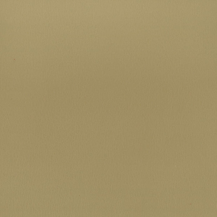 Reims 6 Khaki by Stout Fabric LEATHER LOOKS II 100%OTH 9%OTH CHINA FLAME RETARDANT-U.F.A.C. CLASS 1 FLAME RETARDANT-N.F.P.A. 260A CLASS 1 CATB 117-2013 WYZENBEEK 100 000 DOUBLE RUB WEAR TEST (HEAVY DUTY) </p><p>Repeat: 0 54 in - Fabric Carolina -