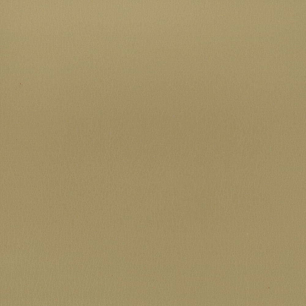 Reims 6 Khaki by Stout Fabric Leather Looks Ii 100% Other 9% Other CHINA FLAME RETARDANT-U.F.A.C. CLASS 1 (OR A) FLAME RETARDANT-N.F.P.A. 260A CLASS 1 CATB 117-2013 WYZENBEEK 100 000 DOUBLE RUB WEAR TEST (HEAVY DUTY) Horizontal: 0 and Vertical: 0 54 in - Fabric Carolina -