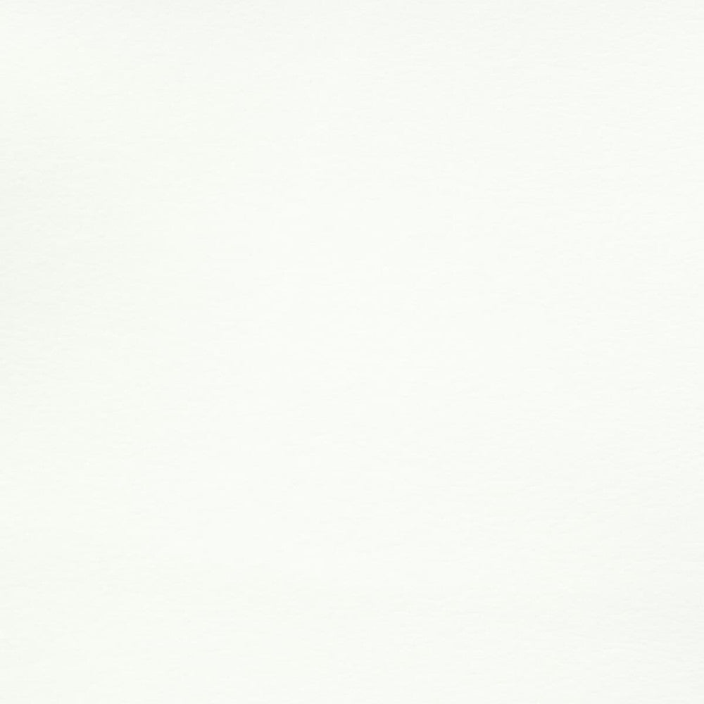 Reims 7 Snow by Stout Fabric Leather Looks Ii 100% Other 9% Other CHINA FLAME RETARDANT-U.F.A.C. CLASS 1 (OR A) FLAME RETARDANT-N.F.P.A. 260A CLASS 1 CATB 117-2013 WYZENBEEK 100 000 DOUBLE RUB WEAR TEST (HEAVY DUTY) Horizontal: 0 and Vertical: 0 54 in - Fabric Carolina -