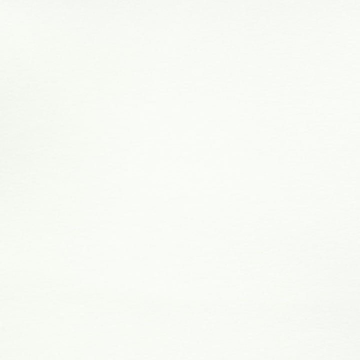 Reims 7 Snow by Stout Fabric LEATHER LOOKS II 100%OTH 9%OTH CHINA FLAME RETARDANT-U.F.A.C. CLASS 1 FLAME RETARDANT-N.F.P.A. 260A CLASS 1 CATB 117-2013 WYZENBEEK 100 000 DOUBLE RUB WEAR TEST (HEAVY DUTY) </p><p>Repeat: 0 54 in - Fabric Carolina -