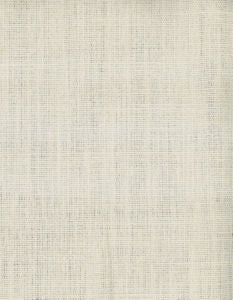 Relay Canvas 046 by Norbar Fabric