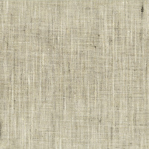 Rembrandt 1 Nickel by Stout Fabric