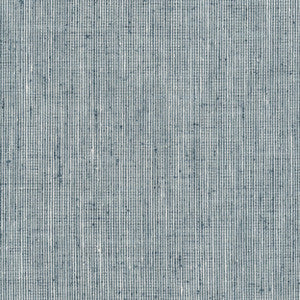 Rembrandt 5 Denim by Stout Fabric