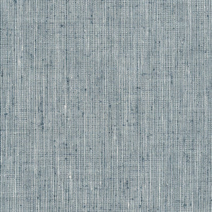 Rembrandt 5 Denim by Stout Fabric