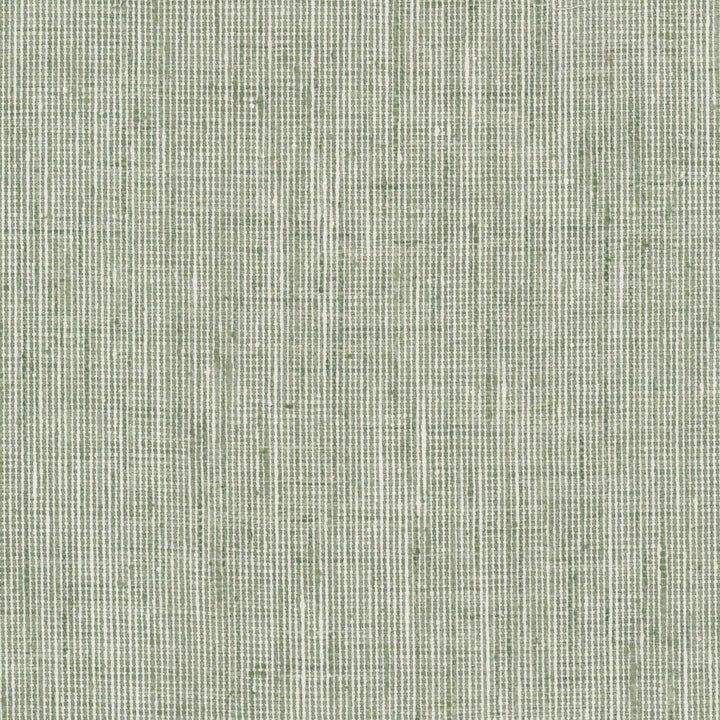 Rembrandt 6 Sage by Stout Fabric RAINBOW LIBRARY SAGE/CYPRESS 100%POL INDIA Horizontal: 0.000 and Vertical: 0.000 54 in - Fabric Carolina -