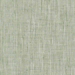 Rembrandt 6 Sage by Stout Fabric