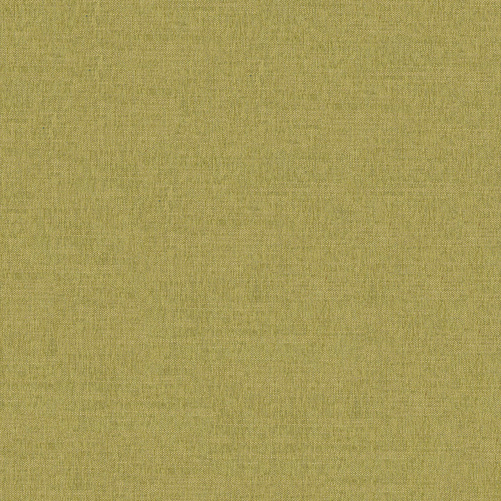 Martine 202 Chartreuse by ABBEYSHEA Fabric N/A 100% Polyester China 100,000 Double Rubs </p><p>Repeat: Horizontal: and Vertical: 55" (140 cm) - Fabric Carolina -