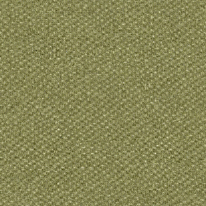 Martine 205 Palm by ABBEYSHEA Fabric N/A 100% Polyester China 100,000 Double Rubs </p><p>Repeat: Horizontal: and Vertical: 55" (140 cm) - Fabric Carolina -