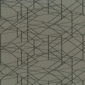 Rendition 6009 Chinchilla by Crypton Fabric