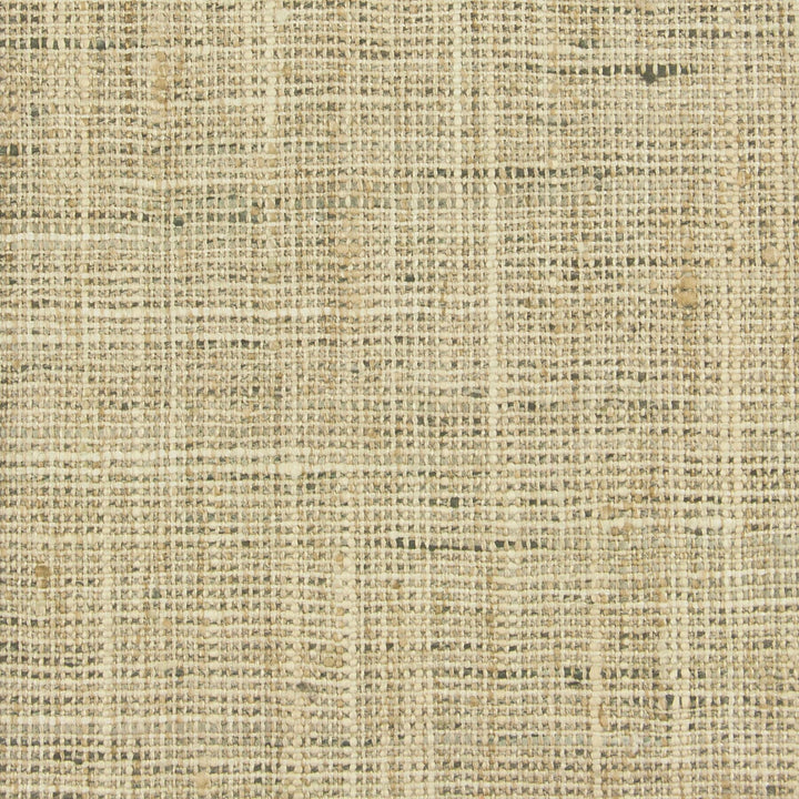 Renzo 35 Raffia by Stout Fabric LINEN LOOKS 100%POL INDIA FLAME RETARDANT-U.F.A.C. CLASS 1 CATB 117-2013 WYZENBEEK 12 000 DOUBLE RUB WEAR TEST (MEDIUM DUTY) Horizontal: 0 and Vertical: 0 54 in - Fabric Carolina -