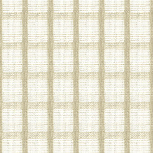 Reva 1 Beige by Stout Fabric