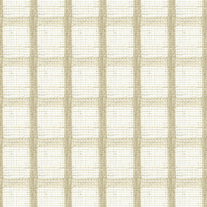 Reva 1 Beige by Stout Fabric Stout Fabric Reva 1 BeigeFabric RAINBOW LIBRARY OATMEAL/STRAW INDIA </p><p>Repeat: H: 2.000, V: 2.000 54 in - Fabric Carolina -