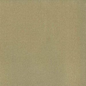 Revis Penny by Norbar Fabric ENVICTA 100% POLYURETHANE KOREA 54 - Fabric Carolina -