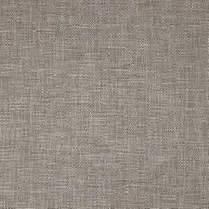 Rex Fossil by Norbar Fabric