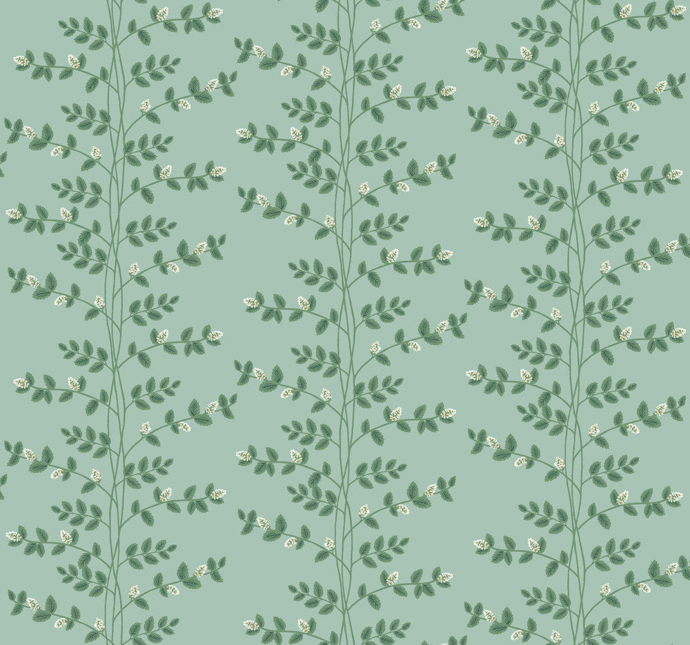 Climbing Vine Soft Teal Wallpaper by Rifle Paper Co. Rifle Paper Co. 3rd Edition Covers about 60.8 square feet 27-in by 27-ft long roll Unpasted 25.25 - Fabric Carolina -