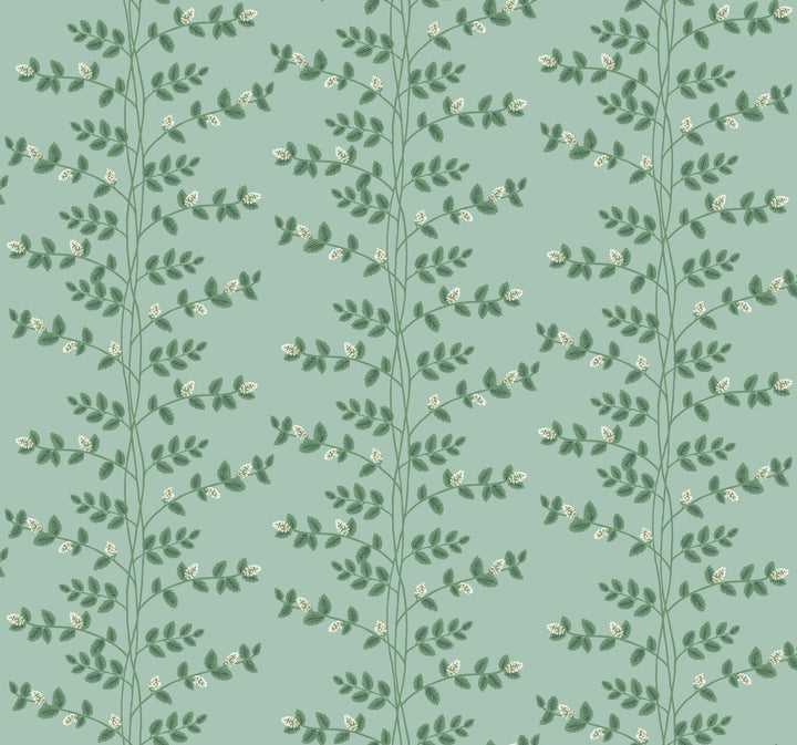 Climbing Vine Soft Teal Wallpaper by Rifle Paper Co. Rifle Paper Co. 3rd Edition Covers about 60.8 square feet 27-in by 27-ft long roll Unpasted 25.25 - Fabric Carolina -