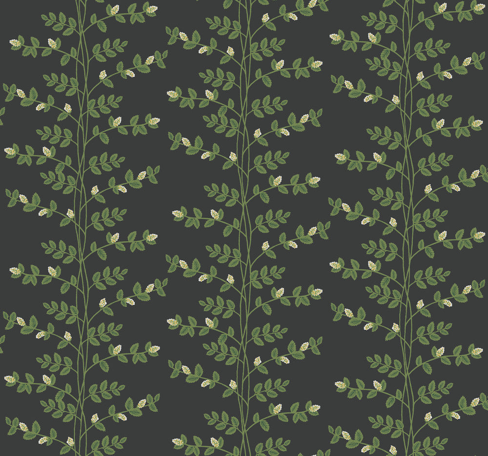 Climbing Vine Black Wallpaper by Rifle Paper Co. Rifle Paper Co. 3rd Edition Covers about 60.8 square feet 27-in by 27-ft long roll Unpasted 25.25 - Fabric Carolina -