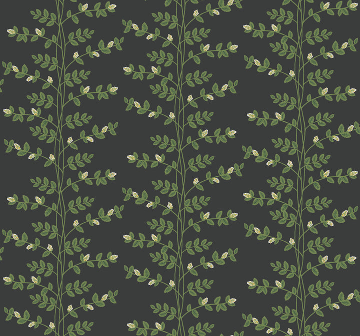 Climbing Vine Black Wallpaper by Rifle Paper Co. Rifle Paper Co. 3rd Edition Covers about 60.8 square feet 27-in by 27-ft long roll Unpasted 25.25 - Fabric Carolina -