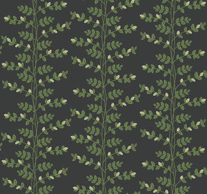 Climbing Vine Black Wallpaper by Rifle Paper Co.