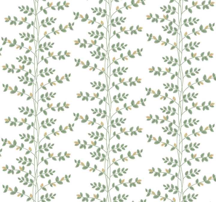 Climbing Vine Gold Wallpaper by Rifle Paper Co. Designer Rifle Paper Co. 3rd Edition Covers about 60.8 square feet 27-in by 27-ft long roll Unpasted 25.25 - Swanky Fabrics -