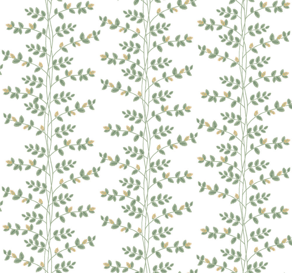 Climbing Vine Gold Wallpaper by Rifle Paper Co. Rifle Paper Co. 3rd Edition Covers about 60.8 square feet 27-in by 27-ft long roll Unpasted 25.25 - Fabric Carolina -