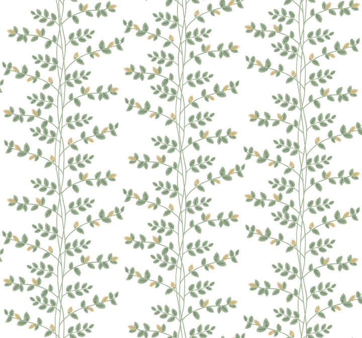 Climbing Vine Gold Wallpaper by Rifle Paper Co. Rifle Paper Co. 3rd Edition Covers about 60.8 square feet 27-in by 27-ft long roll Unpasted 25.25 - Fabric Carolina -