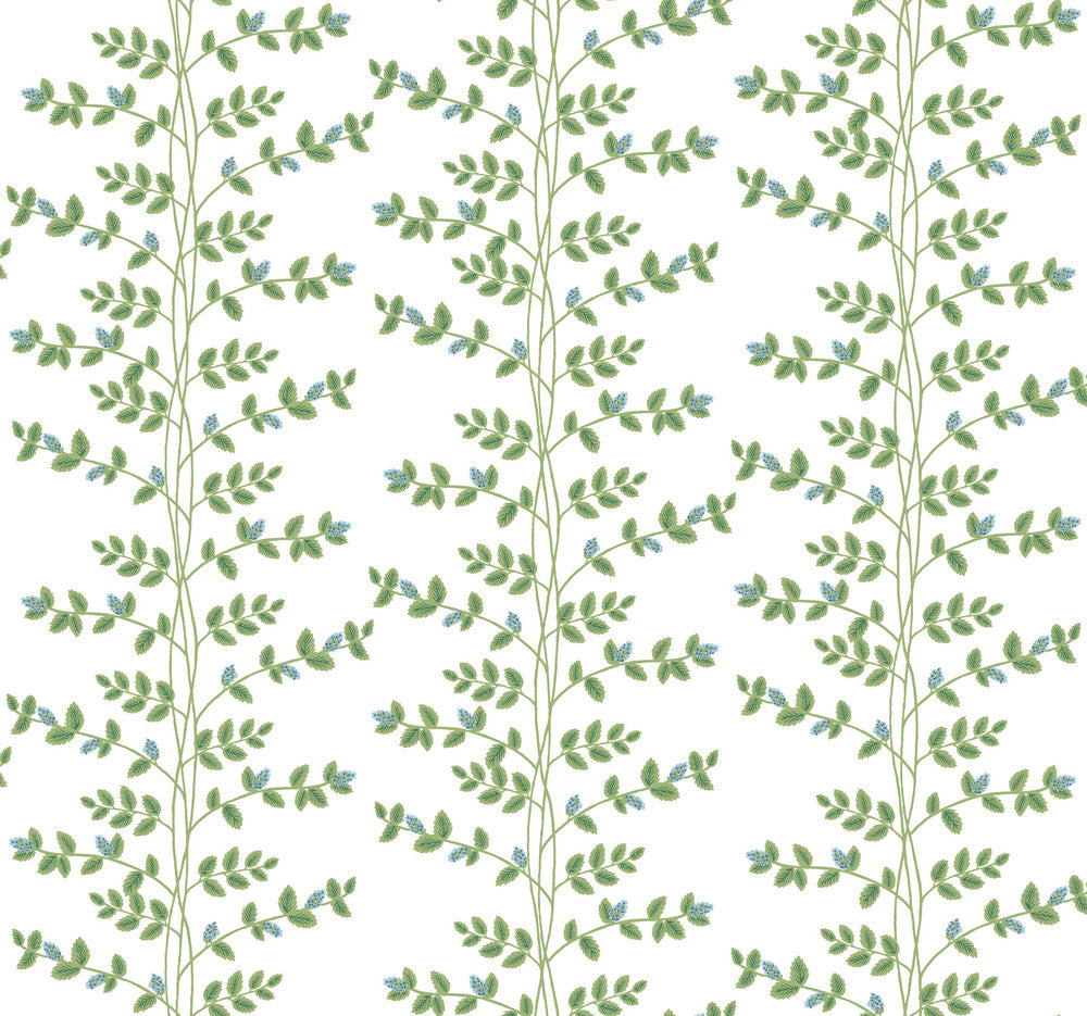 Climbing Vine Blue Wallpaper by Rifle Paper Co. Rifle Paper Co. 3rd Edition Covers about 60.8 square feet 27-in by 27-ft long roll Unpasted 25.25 - Fabric Carolina -