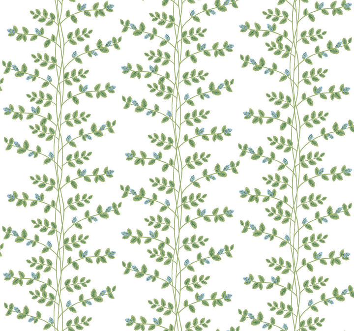 Climbing Vine Blue Wallpaper by Rifle Paper Co. Rifle Paper Co. 3rd Edition Covers about 60.8 square feet 27-in by 27-ft long roll Unpasted 25.25 - Fabric Carolina -
