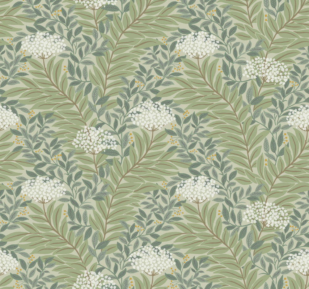 Highgrove Sage Wallpaper by Rifle Paper Co. Rifle Paper Co. 3rd Edition Covers about 60.8 square feet 27-in by 27-ft long roll Unpasted 12.63 - Fabric Carolina -