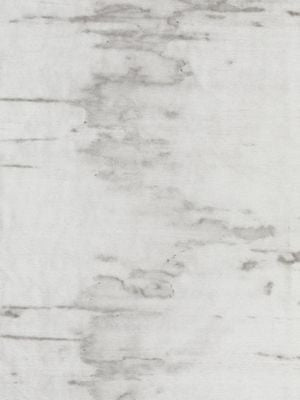<p>Polar Bear Greige RGBEAR0001 by Scalamandre Fabric</p><p><strong>Required Minimum Quantity Purchase: Fabrics by the yard 1 YARD MINIMUM </p><p>Book: TUNDRA</p><p>Content: 77% MOHAIR 23% COTTON</p><p>Origin: ITALY</p><p>Performance: MEDIUM DUTY</p><p>Repeat: Horizontal: and Vertical: </p><p>Width: 55</p>