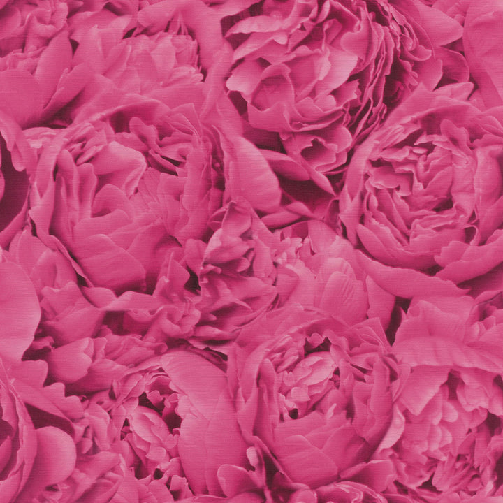 Rosenfield Pink Floral Wallpaper by Rasch Rasch Covers about 56.4 square feet Germany Unpasted 10.43-in repeat, drop match 20.5-in by 33-ft long roll - Fabric Carolina -