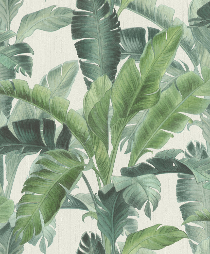 Orissa Green Palm Frond Wallpaper by Rasch Rasch Covers about 56.4 square feet Germany Unpasted 12.6-in repeat, drop match 20.5-in by 33-ft long roll - Fabric Carolina -