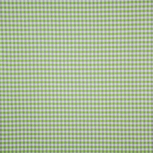 Raratonga # 396 Pistachio by Maxwell Fabric