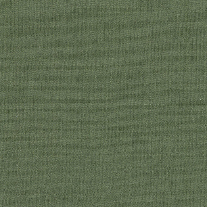 Rhea 17 Boxwood by Stout Designer Fabric THE ART OF COLOR WELL KEPT SECRET 36%POL 26%COT 22%SVI 16%LIN CHINA FLAME RETARDANT-U.F.A.C. CLASS 1 CATB 117-2013 WYZENBEEK 95 000 DOUBLE RUB WEAR TEST (HEAVY DUTY) Horizontal: 0.000 and Vertical: 0.000 56 in - Swanky Fabrics -