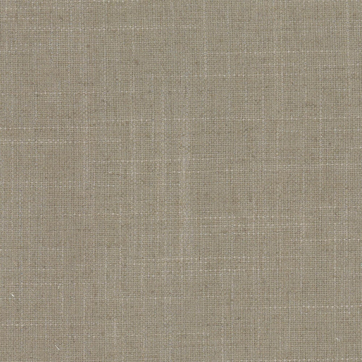 Rhea 19 Sandstone by Stout Fabric THE ART OF COLOR WELL KEPT SECRET 36%POL 26%COT 22%SVI 16%LIN CHINA WYZENBEEK 12 000 DOUBLE RUB WEAR TEST (MEDIUM DUTY) Horizontal: 0.000 and Vertical: 0.000 56 in - Fabric Carolina -