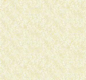 Champagne Dots Gold & White Wallpaper by Rifle Paper Co.