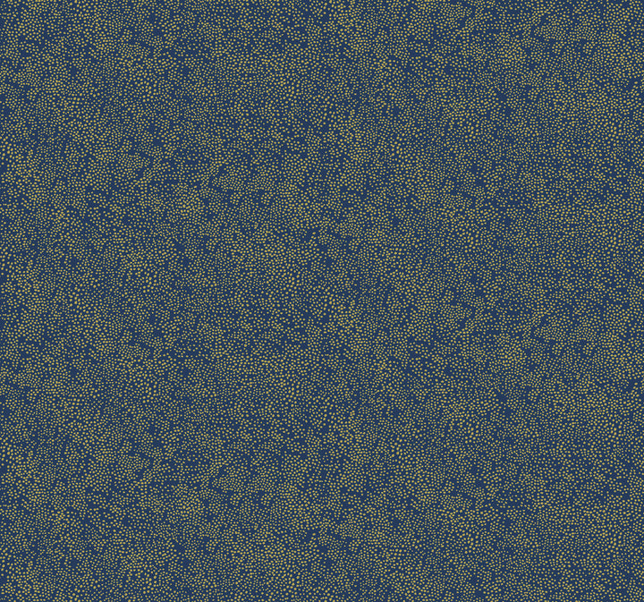 Champagne Dots Gold & Navy Wallpaper by Rifle Paper Co. Designer Rifle Paper Co. Covers about 60.8 square feet 27-in by 27-ft long roll Unpasted 25.25 - Swanky Fabrics -