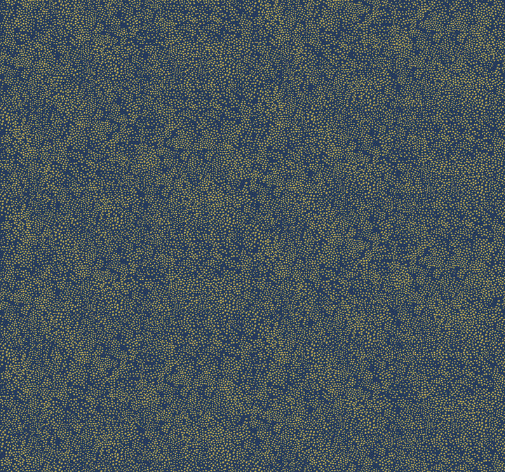 Champagne Dots Gold & Navy Wallpaper by Rifle Paper Co. Rifle Paper Co. Covers about 60.8 square feet 27-in by 27-ft long roll Unpasted 25.25 - Fabric Carolina -