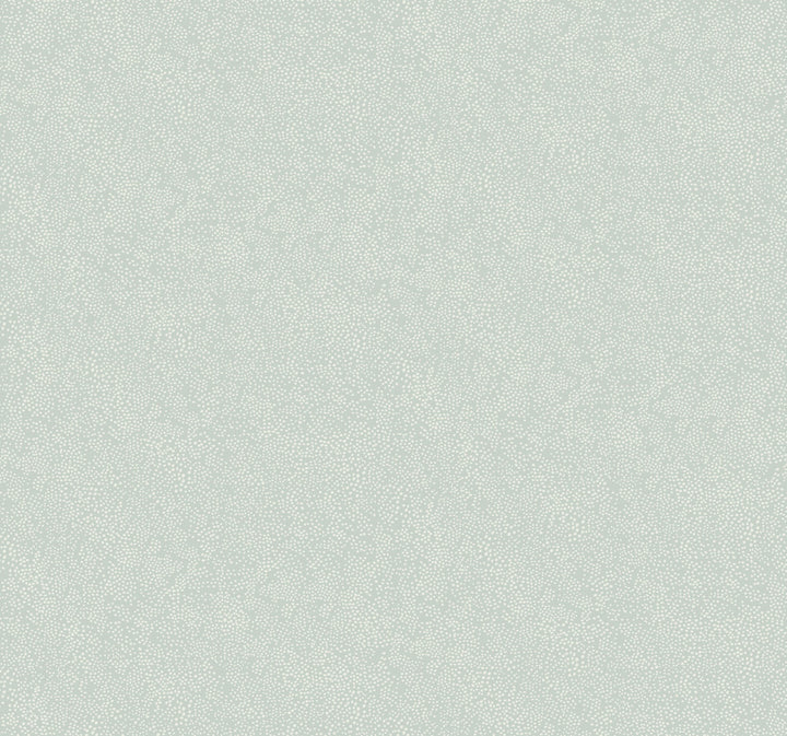 Champagne Dots Mineral Wallpaper by Rifle Paper Co. Rifle Paper Co. Covers about 60.8 square feet 27-in by 27-ft long roll Unpasted 25.25 - Fabric Carolina -