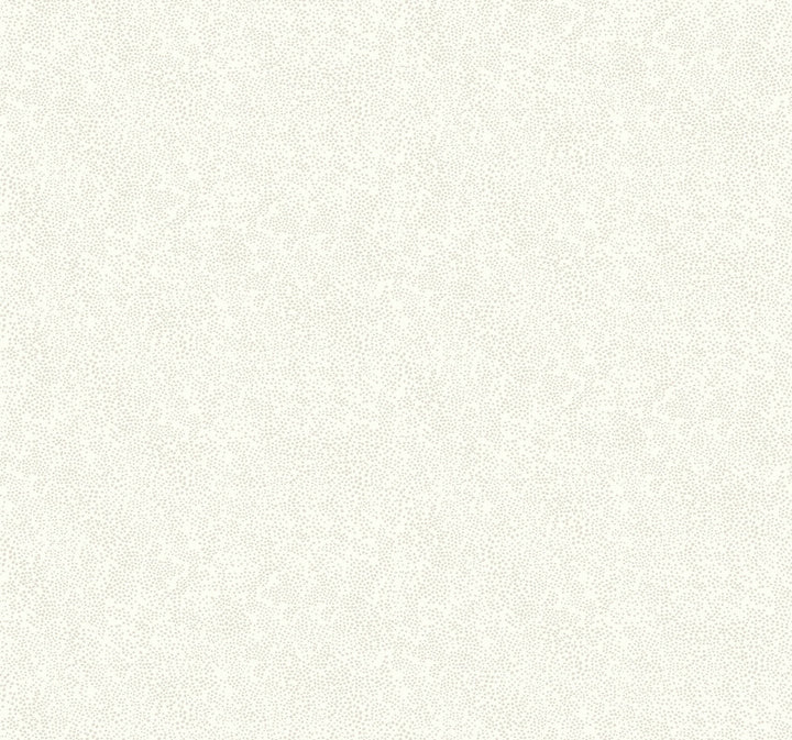 Champagne Dots Linen Metallic Wallpaper by Rifle Paper Co. Designer Rifle Paper Co. Covers about 60.8 square feet 27-in by 27-ft long roll Unpasted 25.25 - Swanky Fabrics -