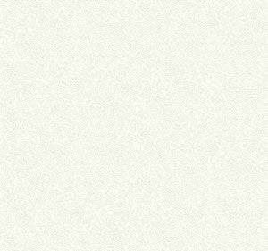 Champagne Dots Linen Metallic Wallpaper by Rifle Paper Co.