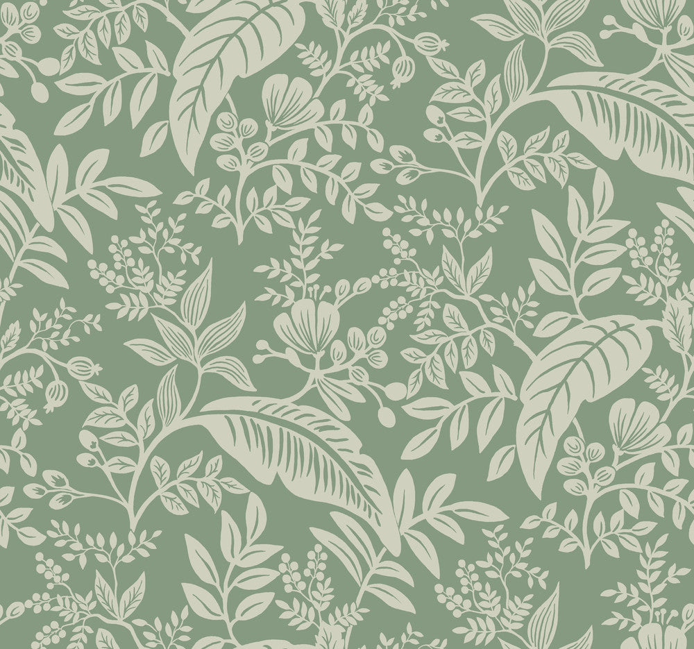 Canopy Sage Wallpaper by Rifle Paper Co. Rifle Paper Co. Covers about 60.8 square feet 27-in by 27-ft long roll Unpasted 25.25 - Fabric Carolina -