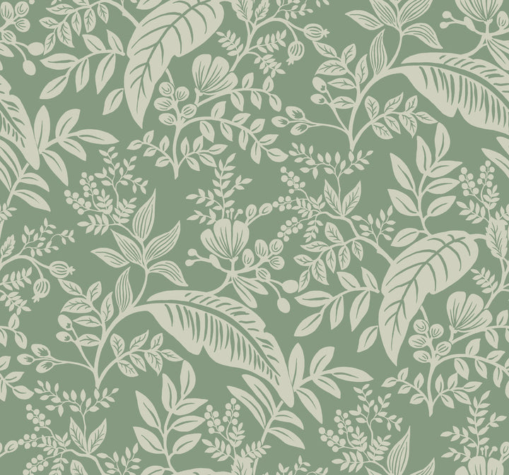 Canopy Sage Wallpaper by Rifle Paper Co. Rifle Paper Co. Covers about 60.8 square feet 27-in by 27-ft long roll Unpasted 25.25 - Fabric Carolina -