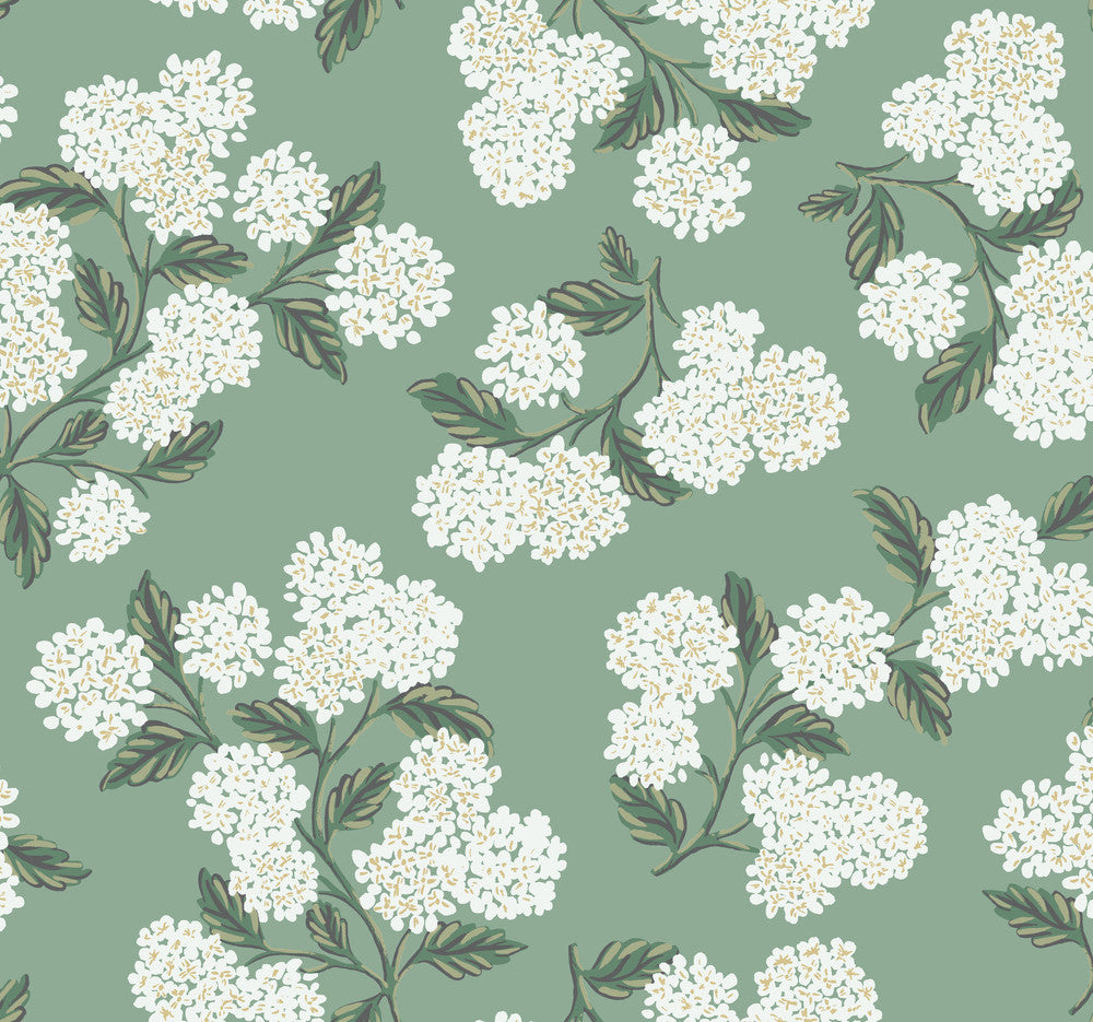 Hydrangea Jade Wallpaper by Rifle Paper Co. Rifle Paper Co. Covers about 60.8 square feet 27-in by 27-ft long roll Unpasted 25.25 - Fabric Carolina -