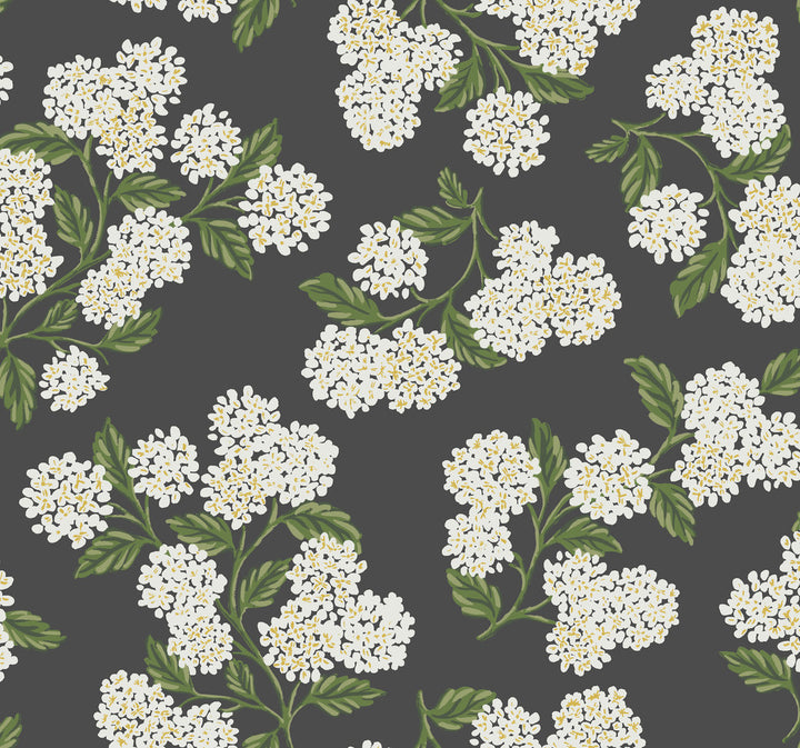 Hydrangea Black & White Wallpaper by Rifle Paper Co. Rifle Paper Co. Covers about 60.8 square feet 27-in by 27-ft long roll Unpasted 25.25 - Fabric Carolina -